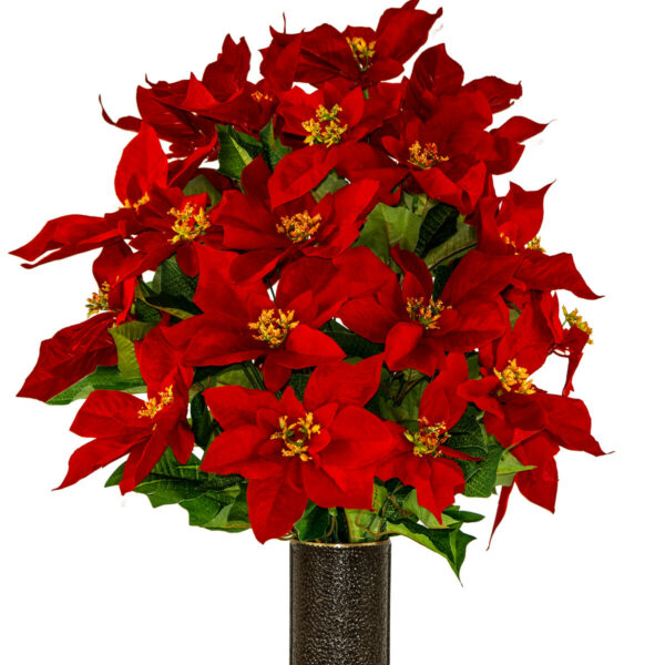Large Christmas Poinsettias