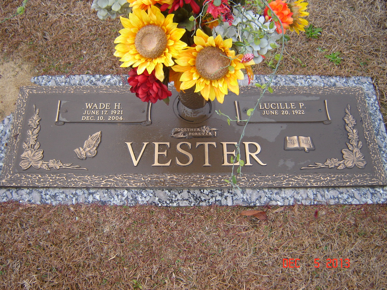 wade vester