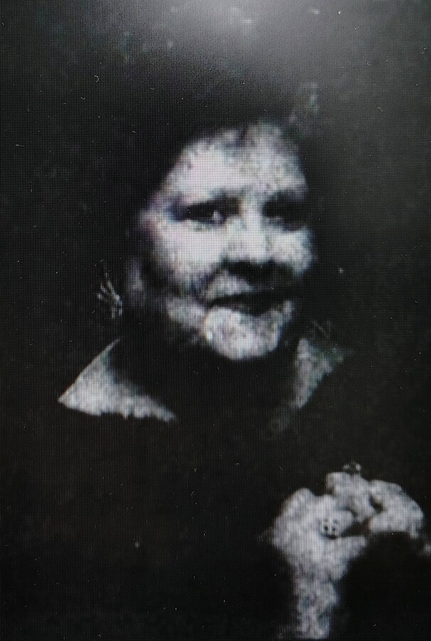 janice land
