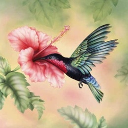 elaine hatcher