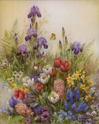 carolyn edmondson